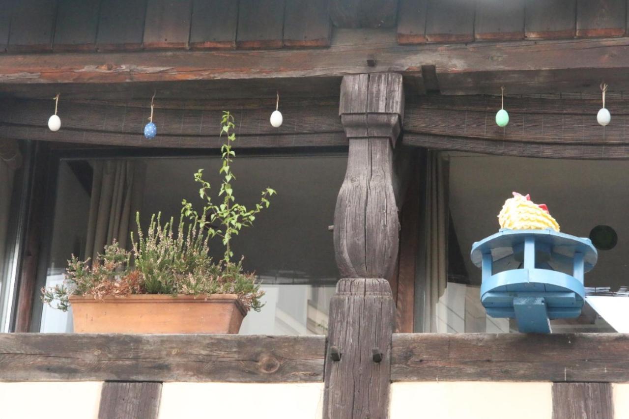Gerberhaus Cottbus公寓 外观 照片